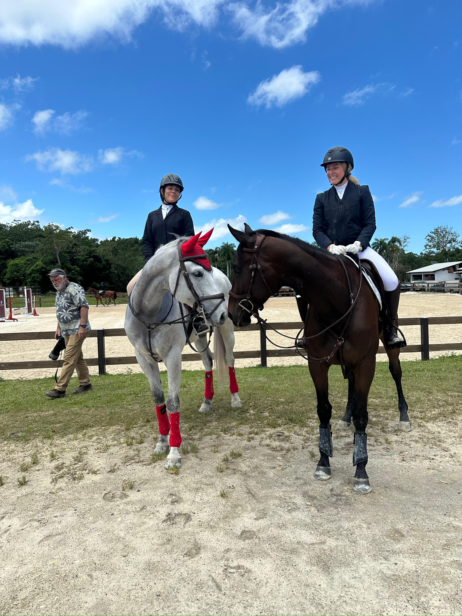 Alegre Equine Rescue | Thoroughbred Rescue & Reschooling in Puerto Rico